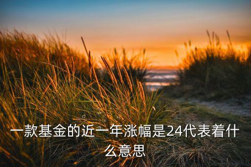 一款基金的近一年漲幅是24代表著什么意思