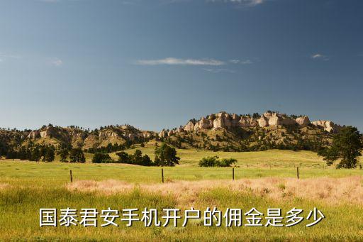 國(guó)泰君安傭金是什么，國(guó)泰君安手機(jī)開戶的傭金是多少