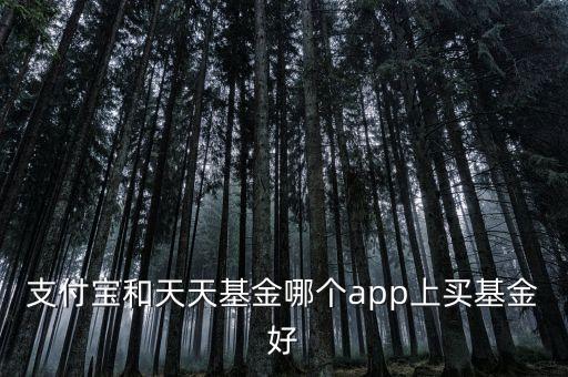 支付寶和天天基金哪個app上買基金好