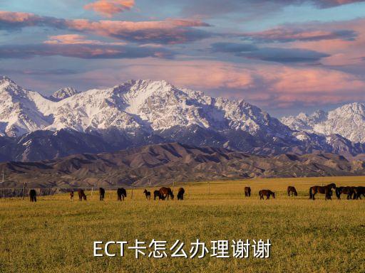 ECT卡怎么辦理謝謝