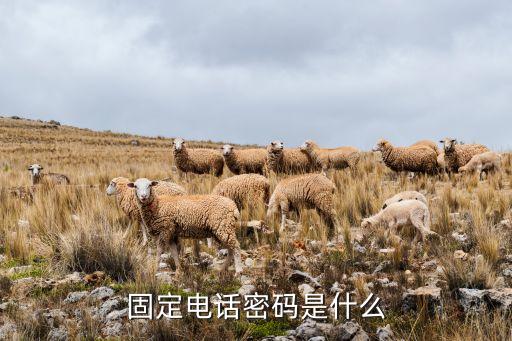固定電話密碼是什么