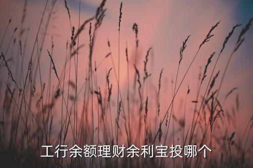 工行余額理財余利寶投哪個