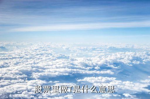 股市里面的t是什么意思啊，股市里面常說的做T是什么意思