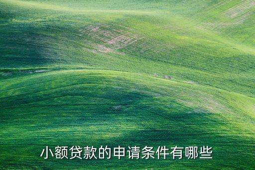 小額貸款的申請條件有哪些