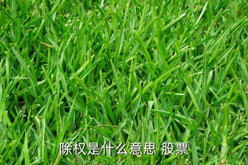 股份除權(quán)是什么意思，除權(quán)是什么意思 股票