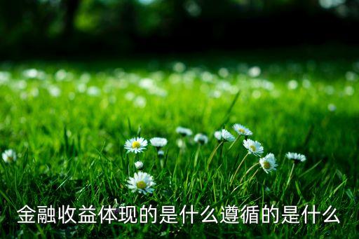 金融收益體現(xiàn)的是什么，金融收益體現(xiàn)的是什么遵循的是什么