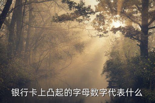 銀行卡上凸起的字母數(shù)字代表什么