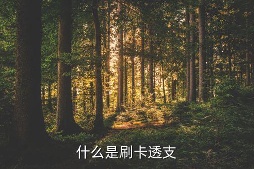 什么是刷卡透支