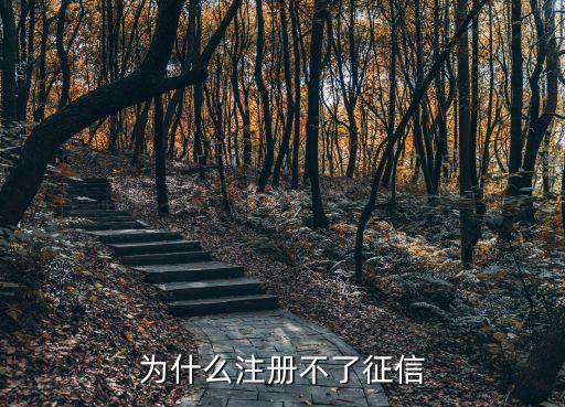 為什么注冊不了征信