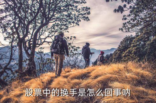 股票中的換手是怎么回事吶