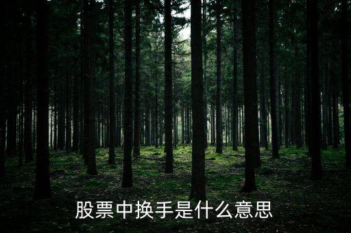 股票中換手是什么意思