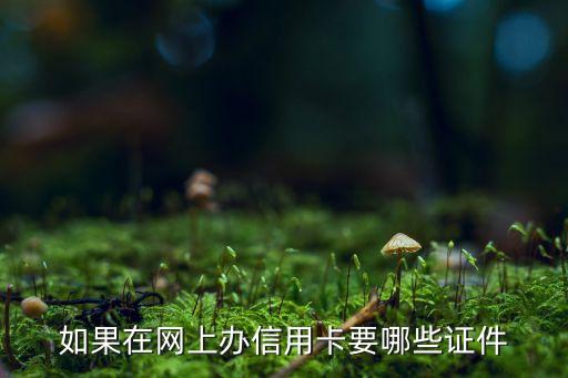 手機(jī)辦信用卡需要什么條件，如果在網(wǎng)上辦信用卡要哪些證件