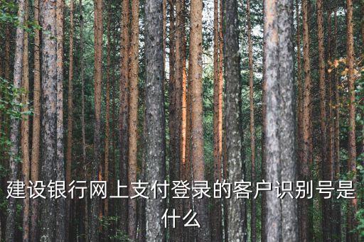 建行企業(yè)網(wǎng)銀客戶識別號是什么，企業(yè)版建行的客戶識別號是什么