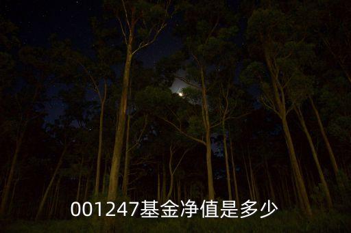 華泰基金現(xiàn)在什么價，華泰穩(wěn)健820001凈值