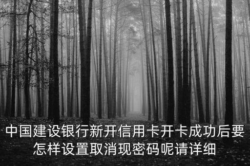 中國建設(shè)銀行新開信用卡開卡成功后要怎樣設(shè)置取消現(xiàn)密碼呢請詳細