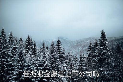 佳兆業(yè)金服是上市公司嗎