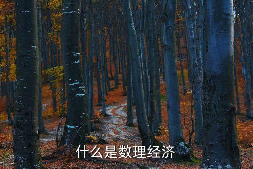 什么是數(shù)理經(jīng)濟
