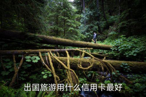 出境消費用什么卡，出國旅游用什么信用卡最好