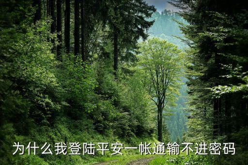 為什么我登陸平安一帳通輸不進(jìn)密碼