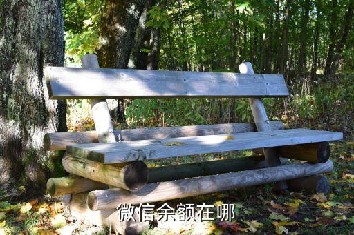 微信的余額帳戶(hù)是什么，微信中的余額賬戶(hù)在哪