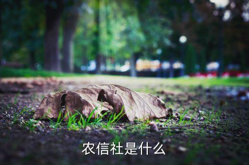 農(nóng)信社是什么