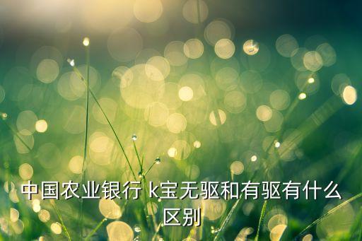 中國(guó)農(nóng)業(yè)銀行 k寶無(wú)驅(qū)和有驅(qū)有什么區(qū)別