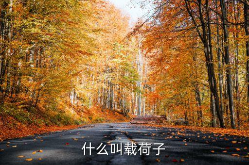 什么叫載荷子