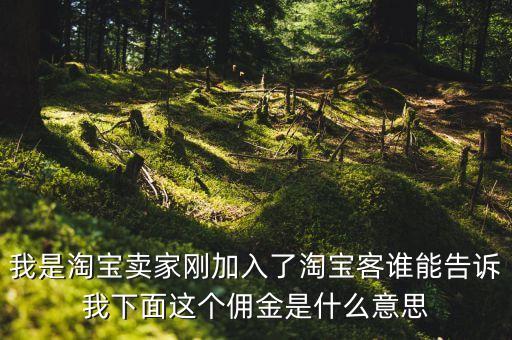 傭金什么意思，我是淘寶賣家剛加入了淘寶客誰能告訴我下面這個傭金是什么意思