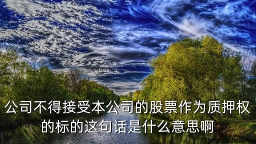 質(zhì)押標(biāo)的什么意思，抵押標(biāo)和質(zhì)押標(biāo)的區(qū)別