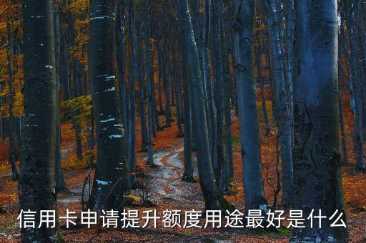 信用卡申請(qǐng)?zhí)嵘~度用途最好是什么