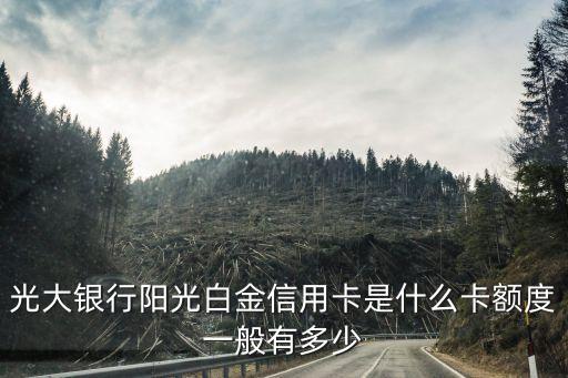 光大銀行陽光白金信用卡是什么卡額度一般有多少