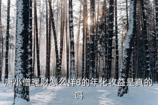 唐小僧理財(cái)怎么推薦，唐小僧理財(cái)怎么樣8的年化收益是真的嗎