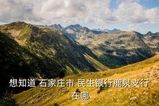 鹿泉區(qū)有什么銀行，想知道 石家莊市 民生銀行鹿泉支行 在哪