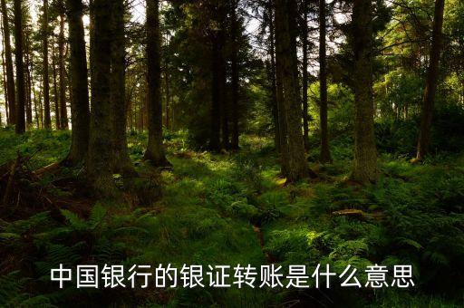中國銀行的銀證轉(zhuǎn)賬是什么意思