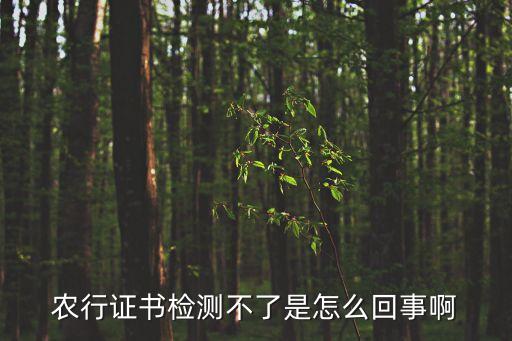 為什么檢測(cè)不到農(nóng)行證書(shū)，中國(guó)農(nóng)業(yè)銀行證書(shū)怎么檢測(cè)不出來(lái)