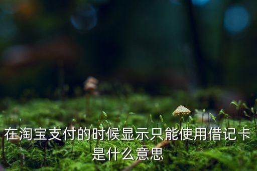 在淘寶支付的時(shí)候顯示只能使用借記卡是什么意思