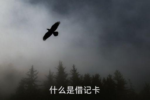 借記卡卡是什么意思，什么是借記卡借記卡的定義