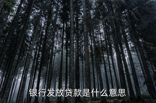 銀行發(fā)放貸款是什么意思
