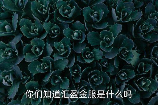 你們知道匯盈金服是什么嗎