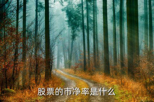 股票的市凈率是什么
