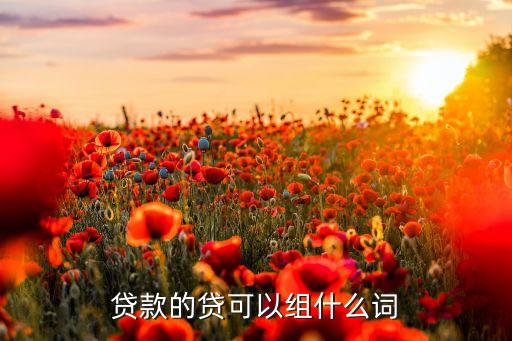 貸款的貸可以組什么詞