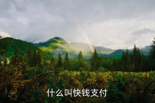 什么叫快錢支付