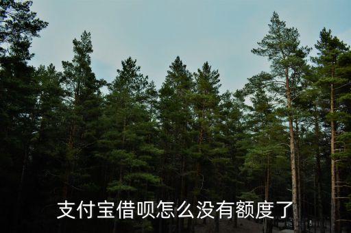 支付寶借唄怎么沒有額度了