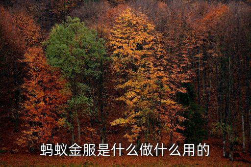 螞蟻金服是什么做什么用的