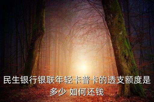 民生銀行銀聯(lián)年輕卡普卡的透支額度是多少 如何還錢
