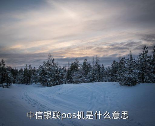 pos銀聯(lián)是什么意思，銀聯(lián)pos銀聯(lián)什么意思