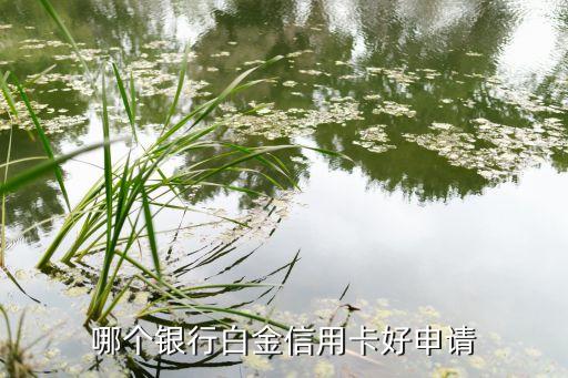 哪個銀行白金信用卡好申請