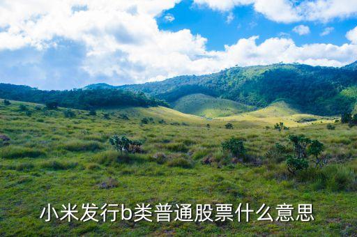 b股是什么，股市里面所謂的A股B股ST股上證指數(shù)深證指數(shù)這一系列到底