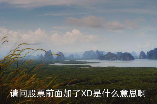 請(qǐng)問(wèn)股票前面加了XD是什么意思啊