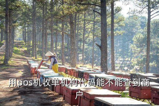 用pos機(jī)收單機(jī)構(gòu)代碼能不能查到商戶